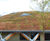 Green-tree Extensive Roof Garden Substrate 1