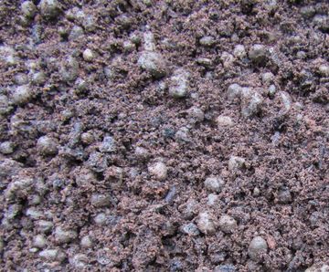 Bioretention Soil