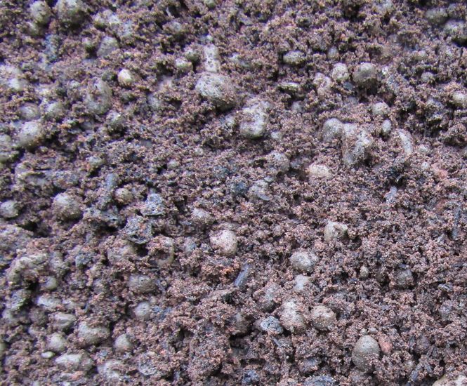 Bioretention Soil