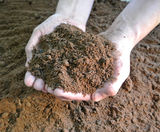 Low Fertility Soil - on this page