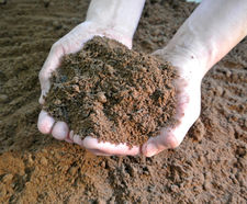 Low Fertility Soil