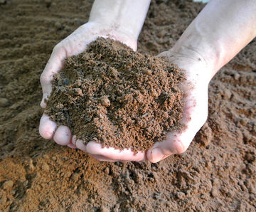 Low Fertility Soil