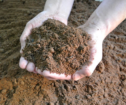 Low Fertility Soil