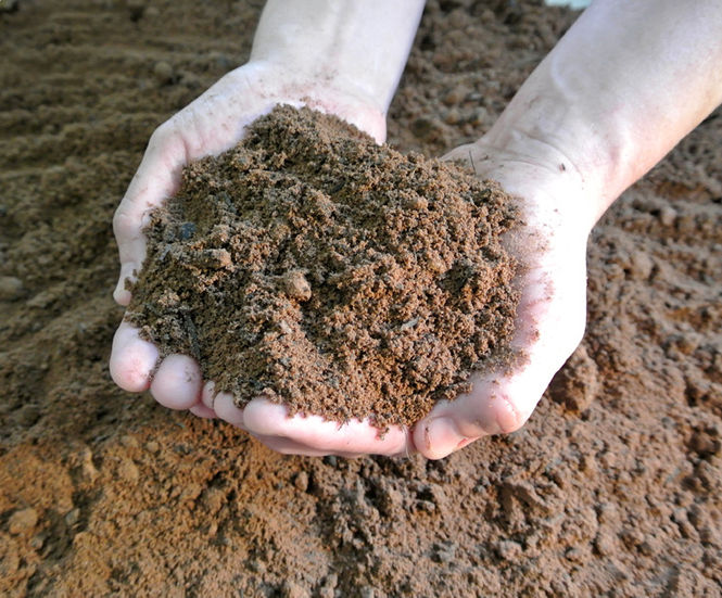 Low Fertility Soil