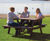 100% Recycled Plastic Standard Picnic Table 0