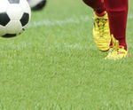 MM Universal Sport - seed mix for sports pitches and amenities