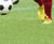 MM Universal Sport - seed mix for sports pitches and amenities 0