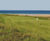 MM Coastal grass seed mixture for greens, tees and fairways 1