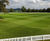 Millfield gets the MM treatment 0