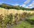 Featherboard Convex - fencing panels 7