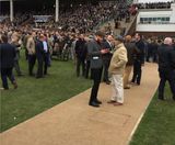 Cheltenham Racecourse shines with NatraTex Gold  - on this page