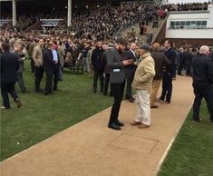 Cheltenham Racecourse shines with NatraTex Gold 