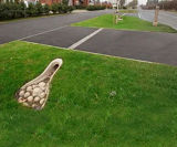 Practical and sustainable surface water management - on this page