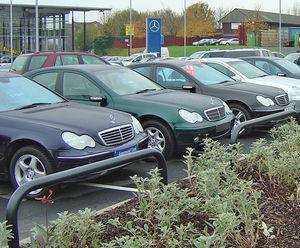 Root-fixed steel hoop barriers for perimeter security