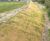 CoirMesh™ - coir coconut erosion control mesh blankets 2