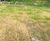 CoirMesh™ - coir coconut erosion control mesh blankets 3