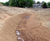 CoirMesh™ - coir coconut erosion control mesh blankets 6