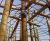 Design & build - IGC Adventure Playground, Merton 4