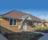 Spade to roof height in less than 5 days - on this page