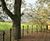 B20 powder-coated and glass infill balustrade - Grimes Treehouse 4