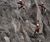 Maccaferri Hexagonal Wire Mesh - Drapery Mesh 0