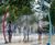 Refresh and Glomist - recreational water-misting cooling stations 0