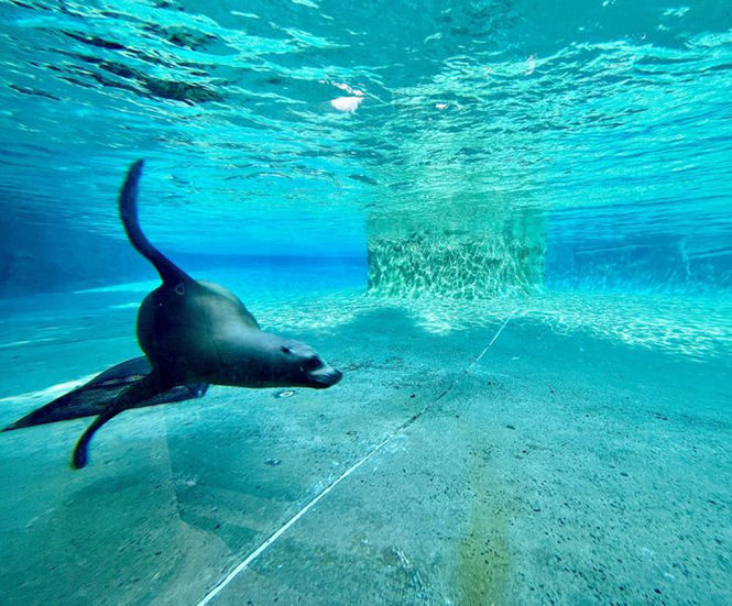 Belfast Zoo to reinvest savings generated from Hyprolyser install