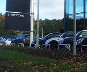 Perimeter protection for the Pendragon Group