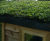 Enviromat Sedum roof for shepherd hut 1
