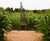 Outdoor musical instruments for award-winning York Maze 2