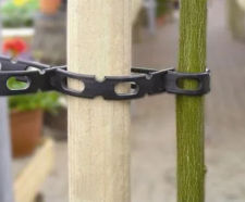 Locktie - reusable and adjustable tree tie