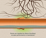 RootSeal Technology protects Wavin OsmaDrain from trees and root ingress - on this page
