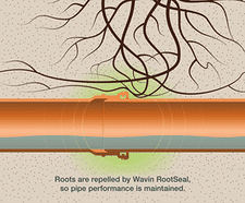 RootSeal Technology protects Wavin OsmaDrain from trees and root ingress