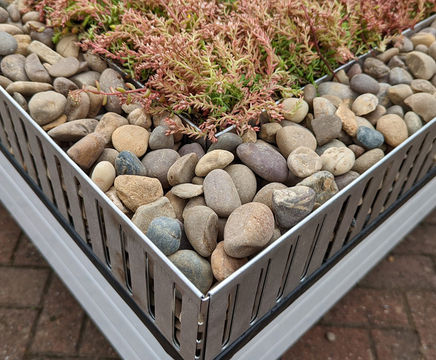Natural North Sea cobbles (20-40mm)
