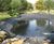 Pond design and construction 4