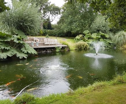 Pond design and construction