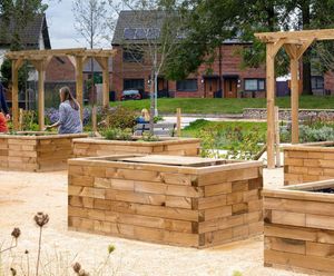 Accessible raised timber planters for community garden scheme
