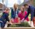 Accessible raised timber planters for community garden scheme 2