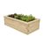 Accessible raised timber planters for community garden scheme 4