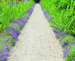 CORE PATH Gravel Pathway Stabiliser Grid