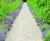 CORE PATH Gravel Pathway Stabiliser Grid 0