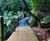 Gripsure® Classic - anti-slip softwood timber decking 4