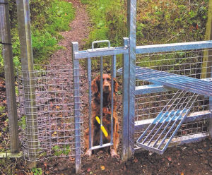 Barkers - dog-way steel stile gate