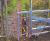 Barkers - dog-way steel stile gate 0