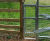 Barkers - dog-way steel stile gate 1