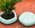 Mago - Flip It  concrete planter / seat 0