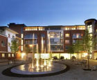 Commercial landscaping services