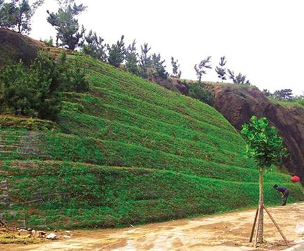 Trinter erosion control mats