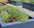 Seating, planters and pergola for new manufacturing facilities 11