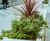 External seating and planters - School of Digital Arts (SODA) 3